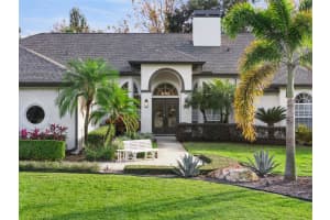 10442 BIRCH TREE LANE, WINDERMERE, FL 34786 - MLS#MFRO6367335