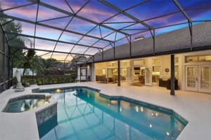 10442 BIRCH TREE LANE, WINDERMERE, FL 34786 - MLS#MFRO6367335