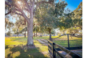 1199 CR 542G, BUSHNELL, FL 33513 - MLS#MFRO6367413