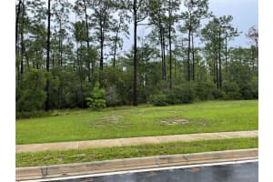 VIRGINIA (PAPER) AVE, DELTONA, FL 32738 - MLS#MFRO6367495