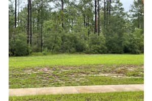 VIRGINIA (PAPER) AVE, DELTONA, FL 32738 - MLS#MFRO6367495