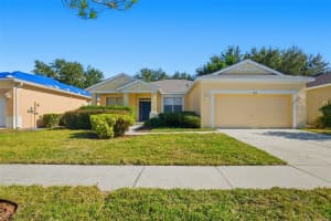 11412 LAUREL BROOK COURT, RIVERVIEW, FL 33569 - MLS#MFRO6367503