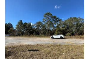 9066 BURMANY WAY, CITRUS SPRINGS, FL 34433 - MLS#MFRO6367522