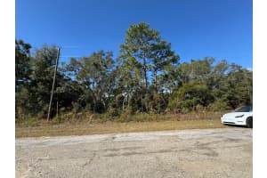 9066 BURMANY WAY, CITRUS SPRINGS, FL 34433 - MLS#MFRO6367522