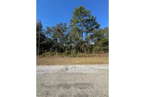 9066 BURMANY WAY, CITRUS SPRINGS, FL 34433 - MLS#MFRO6367522