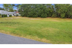 183 BLUE MOON AVENUE, LAKE PLACID, FL 33852 - MLS#MFRO6367690