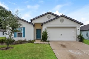 1700 GOPHER TREE STREET, MASCOTTE, FL 34753 - MLS#MFRO6367811
