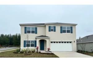 1265 ALSTONIA LANE, MOUNT DORA, FL 32757 - MLS#MFRO6367929