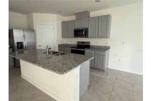 1265 ALSTONIA LANE, MOUNT DORA, FL 32757 - MLS#MFRO6367929