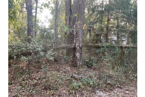 2245 63RD PLACE, OCALA, FL 34475 Sold 01/08/26