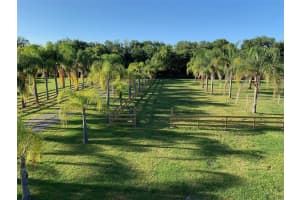 1395 PALM WAY, SANFORD, FL 32773 - MLS#MFRO6368072