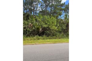 910 SALINA STREET, PALM BAY, FL 32909 - MLS#MFRO6368087