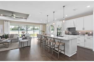 5268 FOOTHILLS PRESERVE LOOP, MOUNT DORA, FL 32757 - MLS#MFRO6368151