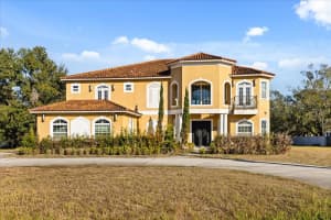 11250 MCMULLEN ROAD, RIVERVIEW, FL 33569 - MLS#MFRO6368225
