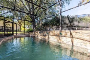 17419 TAILFEATHER COURT, CLERMONT, FL 34711 - MLS#MFRO6368235