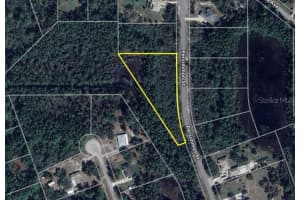 LOT 11 PERSIMMON STREET, EUSTIS, FL 32736 - MLS#MFRO6368237