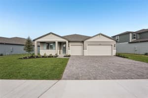 10534 ABUNDANCE GROVE WAY, PARRISH, FL 34219 - MLS#MFRO6368271