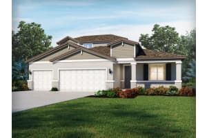 10539 Abundance Grove Way, PARRISH