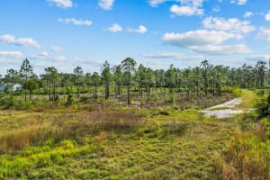 LOT #141 SABAL ST, ORLANDO, FL 32833 - MLS#MFRO6368279