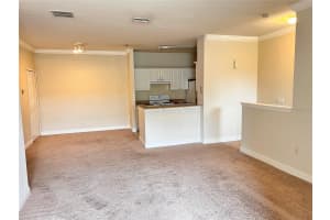 304 SOUTHERN PECAN CIRCLE, WINTER GARDEN, FL 34787 - MLS#MFRO6368302