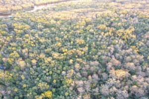 MLS# MFRO6368406, Inverness, Florida 34450