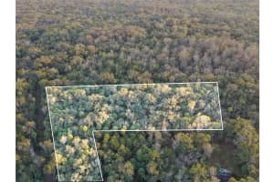 MLS# MFRO6368406, Inverness, Florida 34450