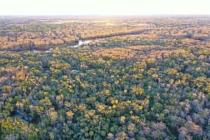 MLS# MFRO6368406, Inverness, Florida 34450