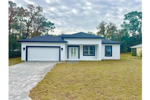 3284 GATES LANE, CITRUS SPRINGS, FL 34433 - MLS#MFRO6368422