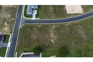 229 SNOWY ORCHID WAY, LAKE ALFRED, FL 33850 - MLS#MFRO6368482