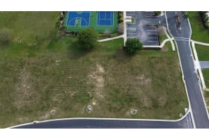 229 SNOWY ORCHID WAY, LAKE ALFRED, FL 33850 - MLS#MFRO6368482