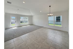 270 VERNY GROVE LANE, LEESBURG, FL 34748 - MLS#MFRO6368502