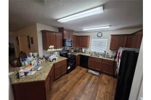 14313 HADDON MIST DRIVE, WIMAUMA, FL 33598 - MLS#MFRO6368591