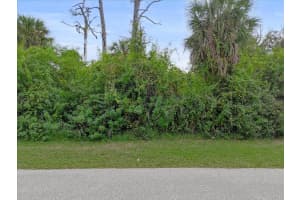11947 HELICON AVENUE, PORT CHARLOTTE, FL 33981 - MLS#MFRO6368797