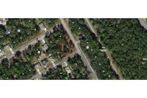 125 RUSKA PLACE, CITRUS SPRINGS, FL 34434 - MLS#MFRO6368838