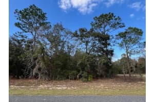 125 RUSKA PLACE, CITRUS SPRINGS, FL 34434 - MLS#MFRO6368838