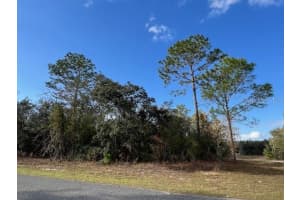 125 RUSKA PLACE, CITRUS SPRINGS, FL 34434 - MLS#MFRO6368838