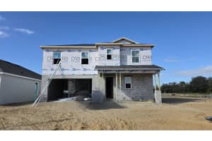 30301 RUSTIC MILL STREET, MOUNT DORA, FL 32757 - MLS#MFRO6368904