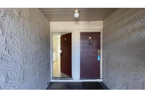 7502 NEEDLE LEAF PLACE, TAMPA, FL 33617 - MLS#MFRO6368935