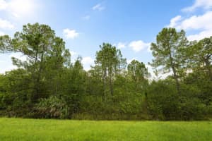 18715 SODBURY STREET, ORLANDO, FL 32833 - MLS#MFRO6369041