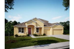 10140 WHITE MAGNOLIA SQUARE, THONOTOSASSA, FL 33592 - MLS#MFRO6369092