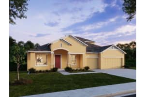 10140 WHITE MAGNOLIA SQUARE, THONOTOSASSA, FL 33592 - MLS#MFRO6369092