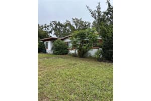 1300 MORNINGSIDE STREET, MOUNT DORA, FL 32757 - MLS#MFRO6369114