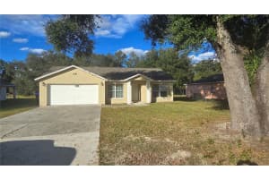 7325 HOLLY STREET, MOUNT DORA, FL 32757 - MLS#MFRO6369127