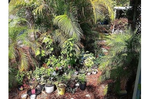 6244 SCENIC VIEW DRIVE, LAKELAND, FL 33810 - MLS#MFRO6369289