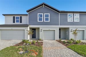 705 Spartina Way, LADY LAKE