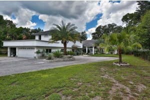 18620 WAYNE ROAD, ODESSA, FL 33556 - MLS#MFRO6369412