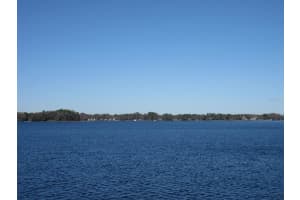 18620 WAYNE ROAD, ODESSA, FL 33556 - MLS#MFRO6369412