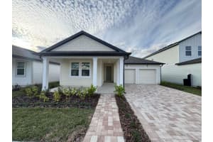 30167 RUSTIC MILL STREET, MOUNT DORA, FL 32757 - MLS#MFRO6369516