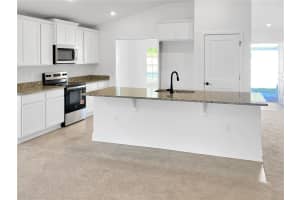 262 VERNY GROVE LANE, LEESBURG, FL 34748 - MLS#MFRO6369544