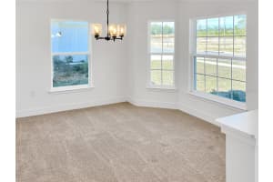 262 VERNY GROVE LANE, LEESBURG, FL 34748 - MLS#MFRO6369544